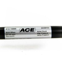 ACE GS-19-100-CC-250N , A12-19985 , Kraft F= 250N Stoßdämpfer , Gasdruckfeder